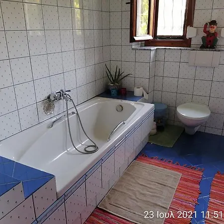 Elena's House